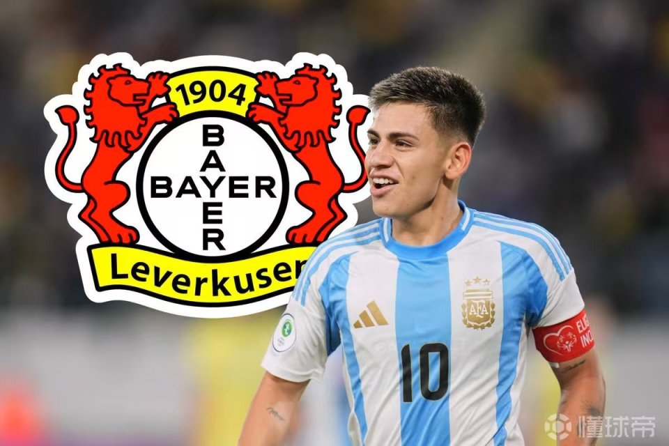 新之后, 落了, 或许才是滕 新之后, 落了, 或许才是滕